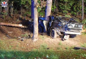 Uszkodzony samochód stoi pomiędzy drzewami. Jedno z nich wbite jest w karoserie.