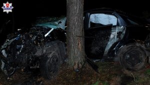 Uszkodzony samochód stoi koło drzewa.